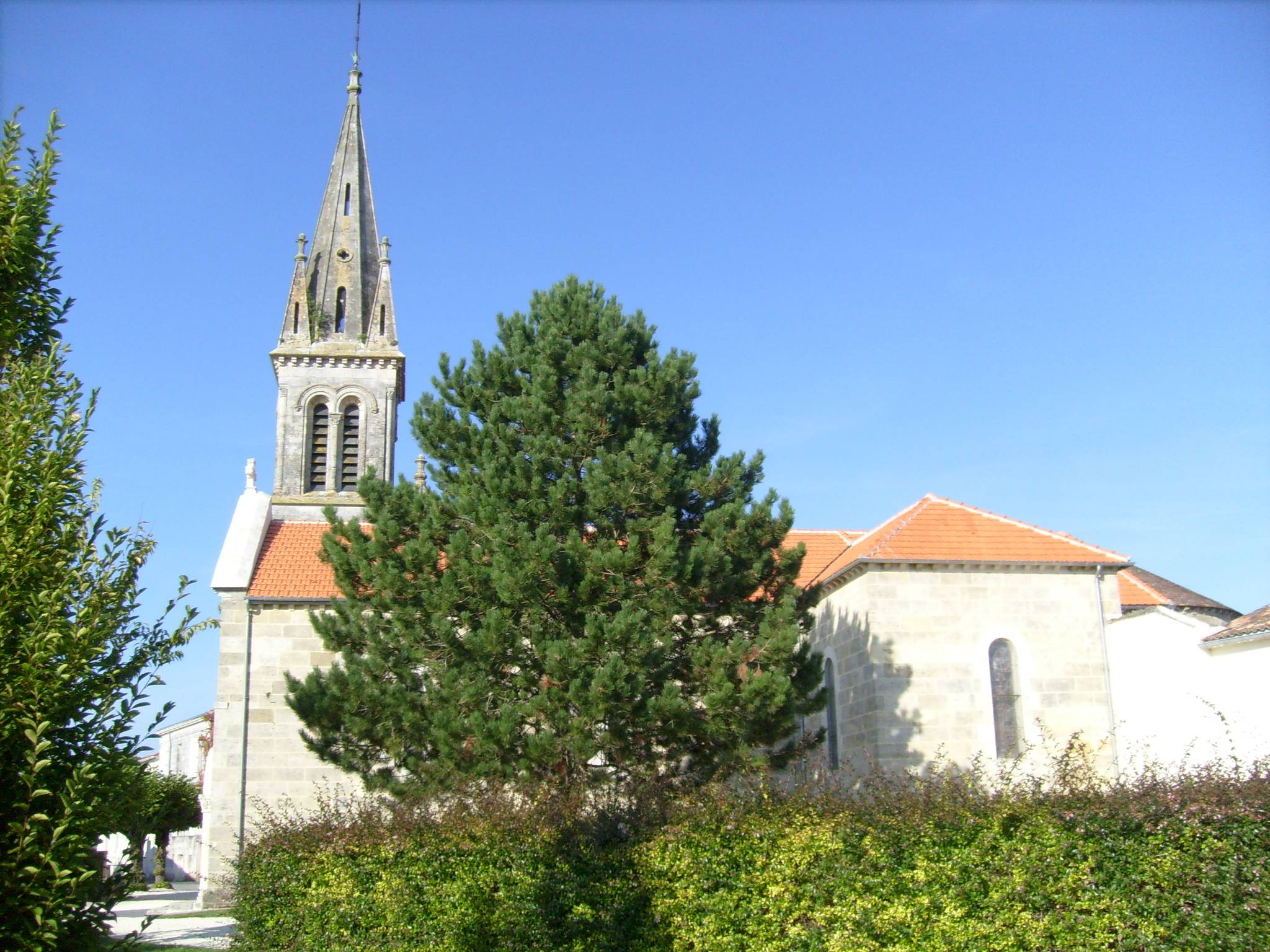 Photo de Church of Saint Martin of Chenac
