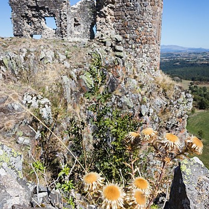 Photo de Château dApchon