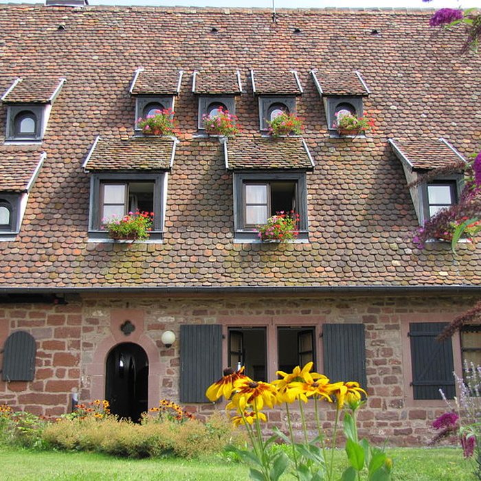 Photo de Château de Hunebourg