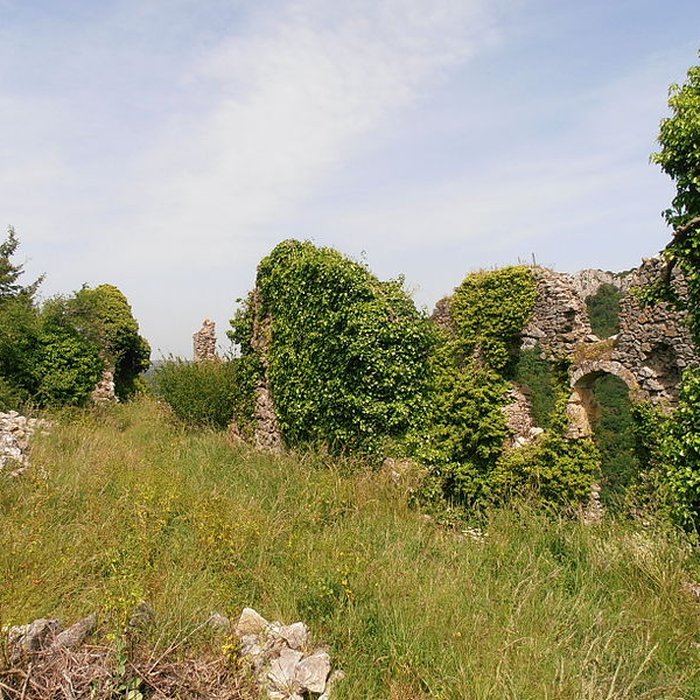 Photo de Château dAuriac