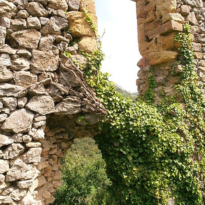 Photo de Château dAuriac