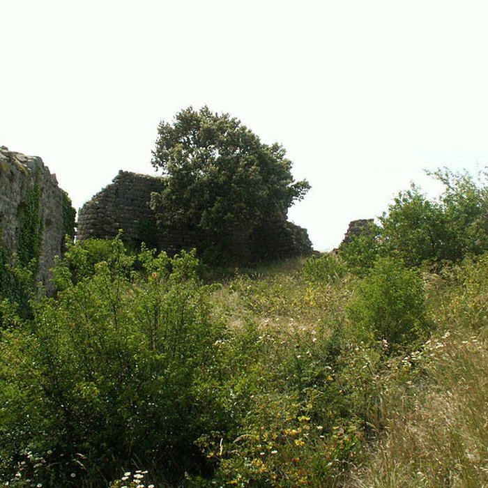 Photo de Château dAuriac