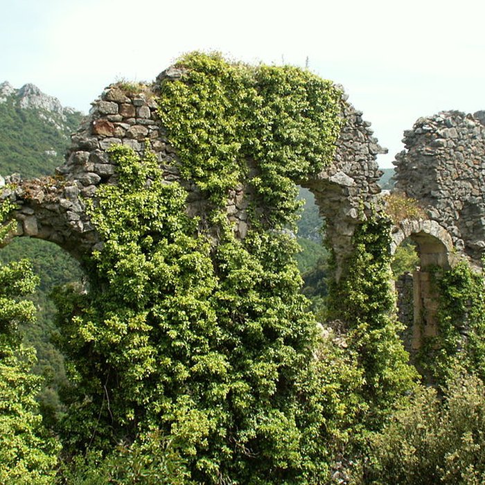 Photo de Château dAuriac