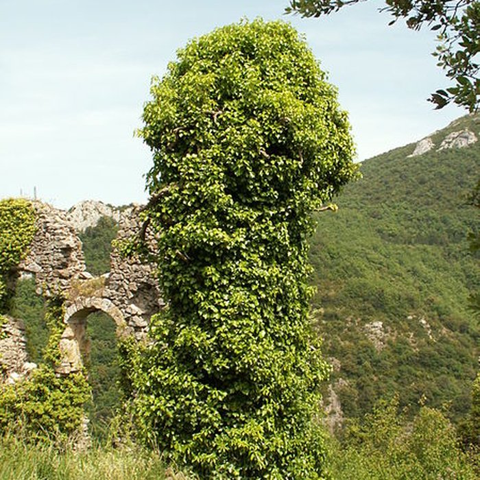 Photo de Château dAuriac