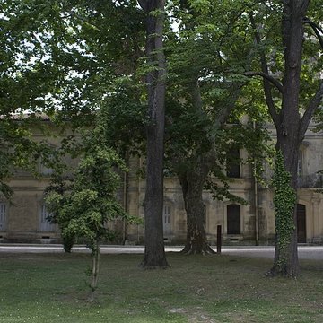 Château dAvignon