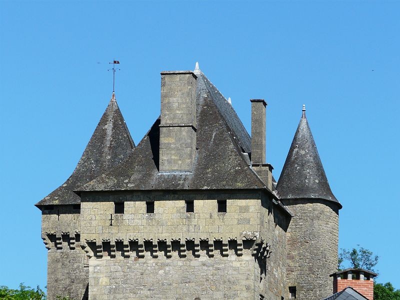 Photo de Château de Badefols-d'Ans