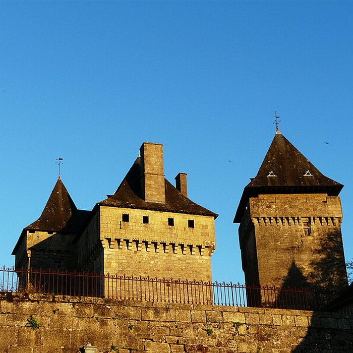 Photo de Château de Badefols-dAns