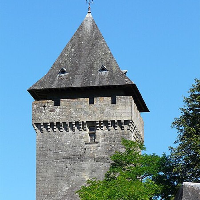 Photo de Château de Badefols-dAns