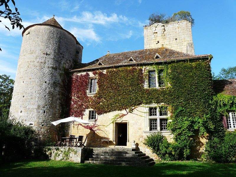 Photo de Château de Baneuil