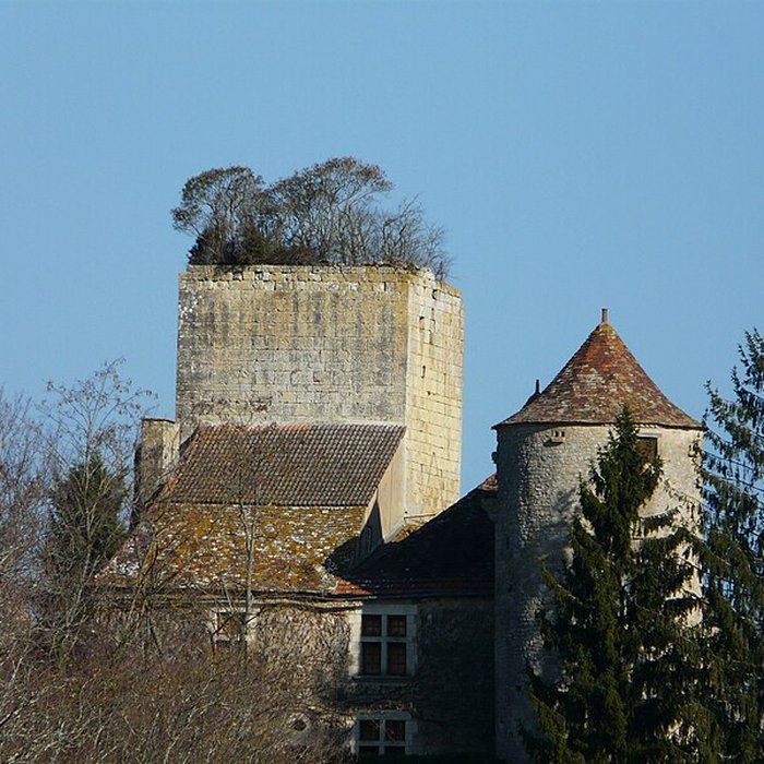 Photo de Château de Baneuil