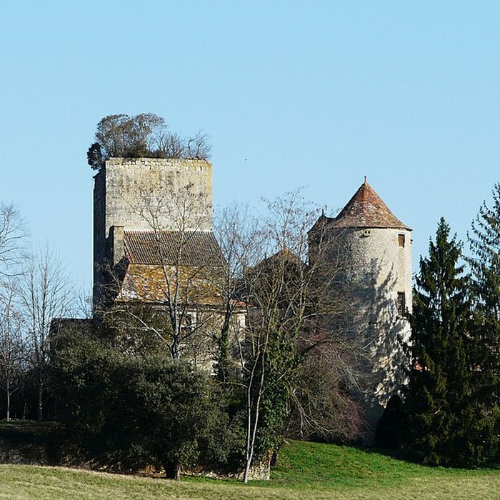 Photo de Château de Baneuil