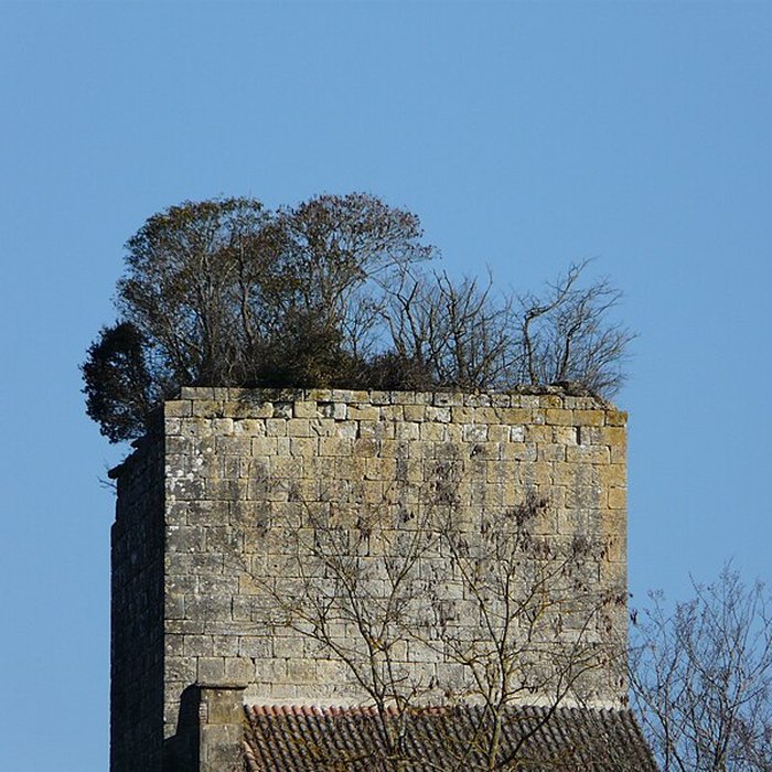 Photo de Château de Baneuil