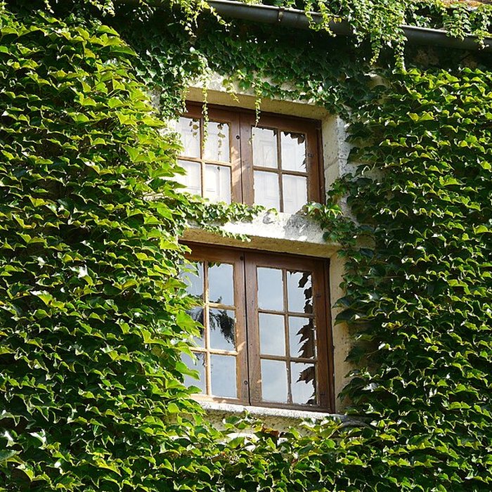 Photo de Château de Baneuil