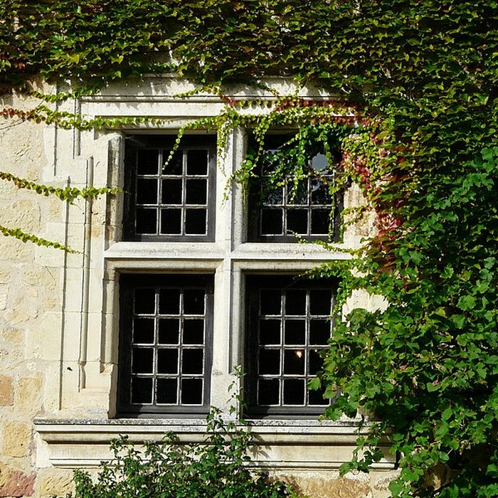 Photo de Château de Baneuil