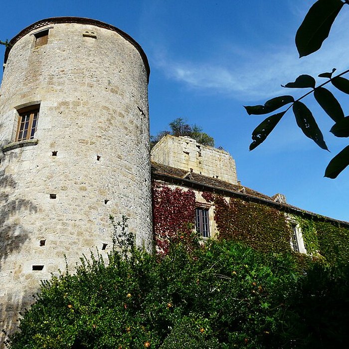 Photo de Château de Baneuil