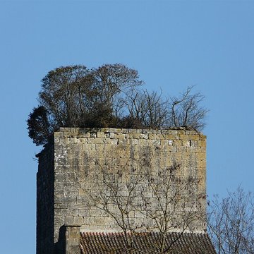 Château de Baneuil