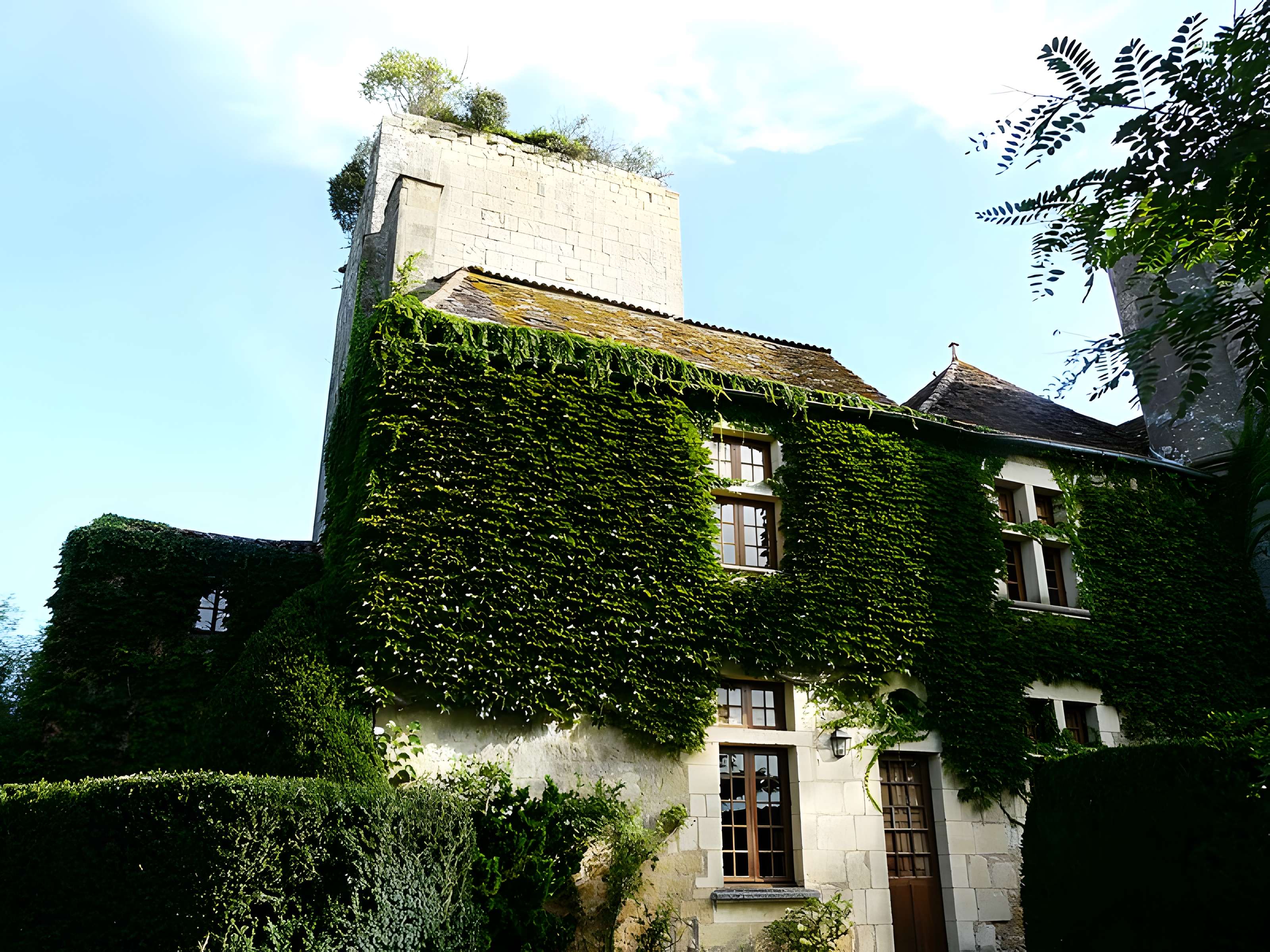 Château de Baneuil