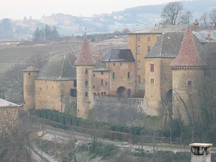 Photo de Château de Jarnioux