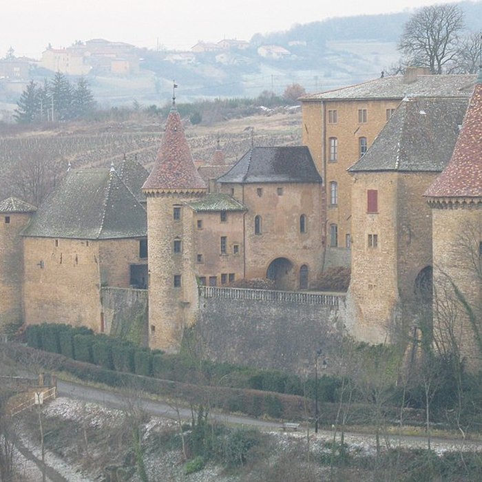 Photo de Château de Jarnioux