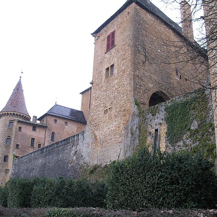 Photo de Château de Jarnioux