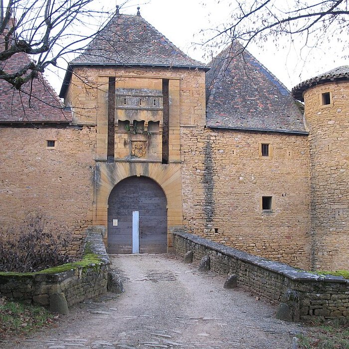 Photo de Château de Jarnioux