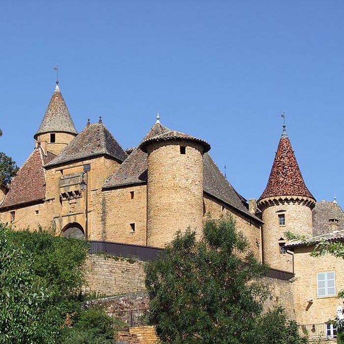 Photo de Château de Jarnioux