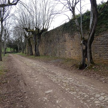 Château de Jarnioux 