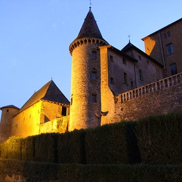 Château de Jarnioux 