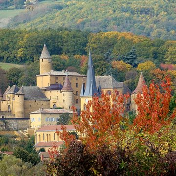 Château de Jarnioux 