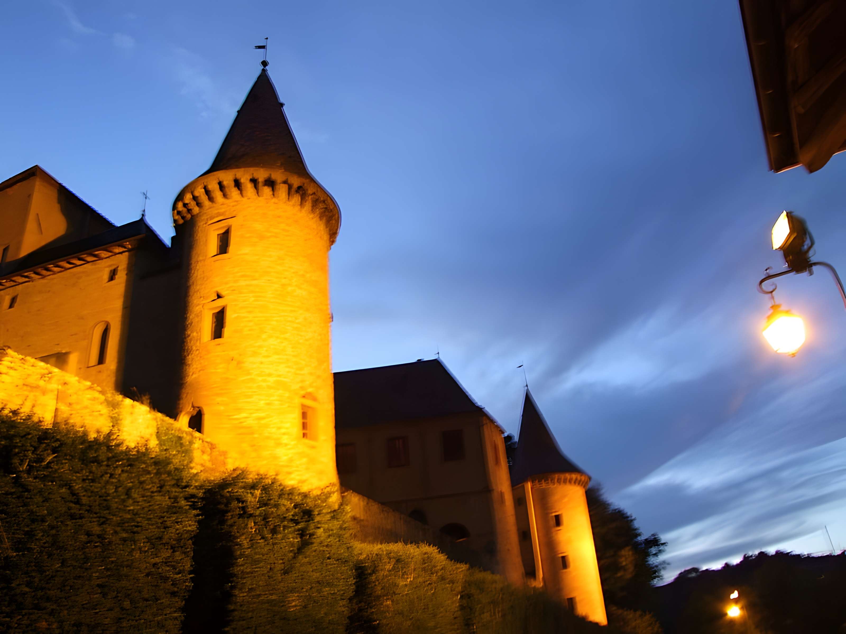 Château de Jarnioux 