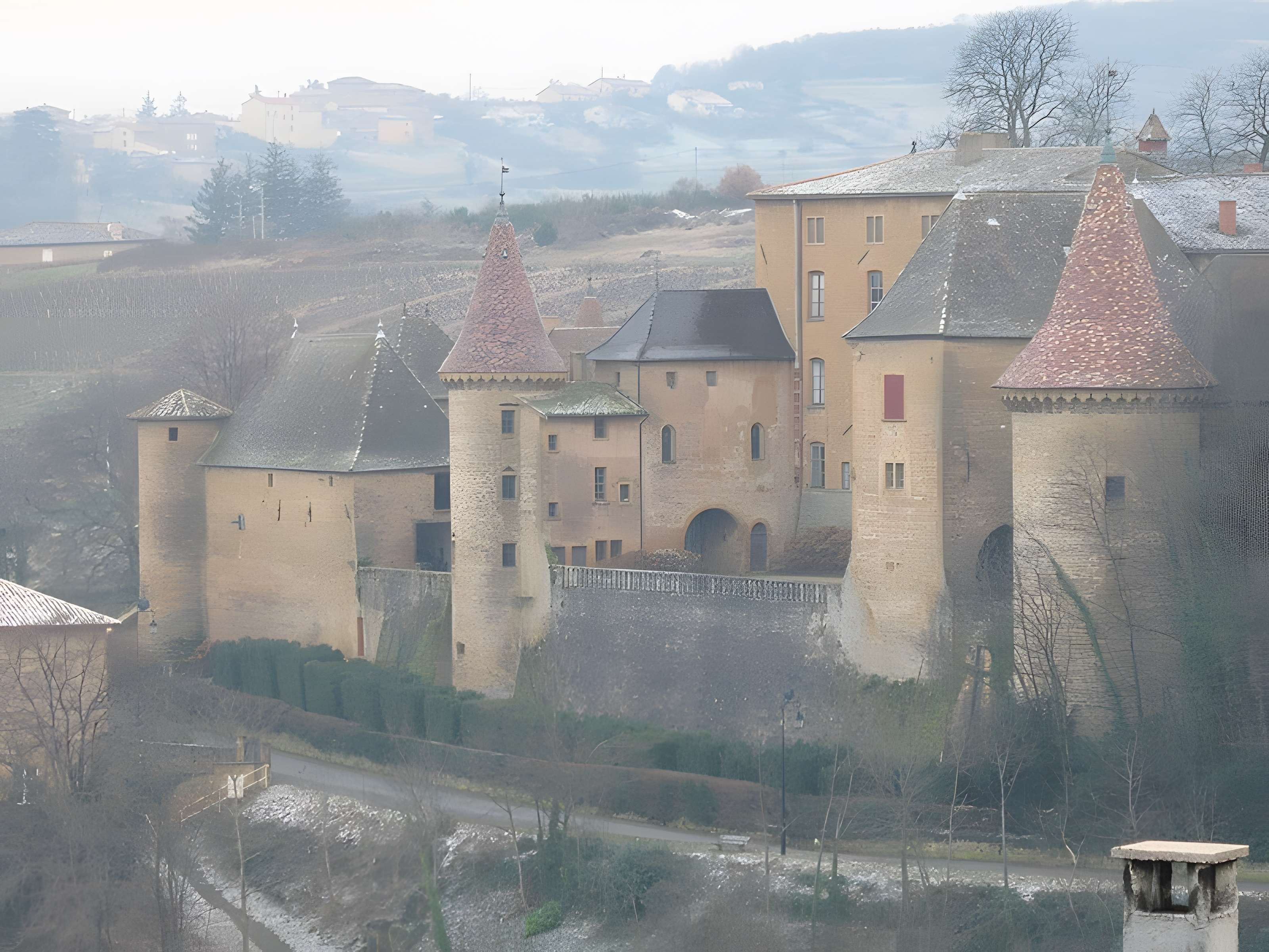 Château de Jarnioux 