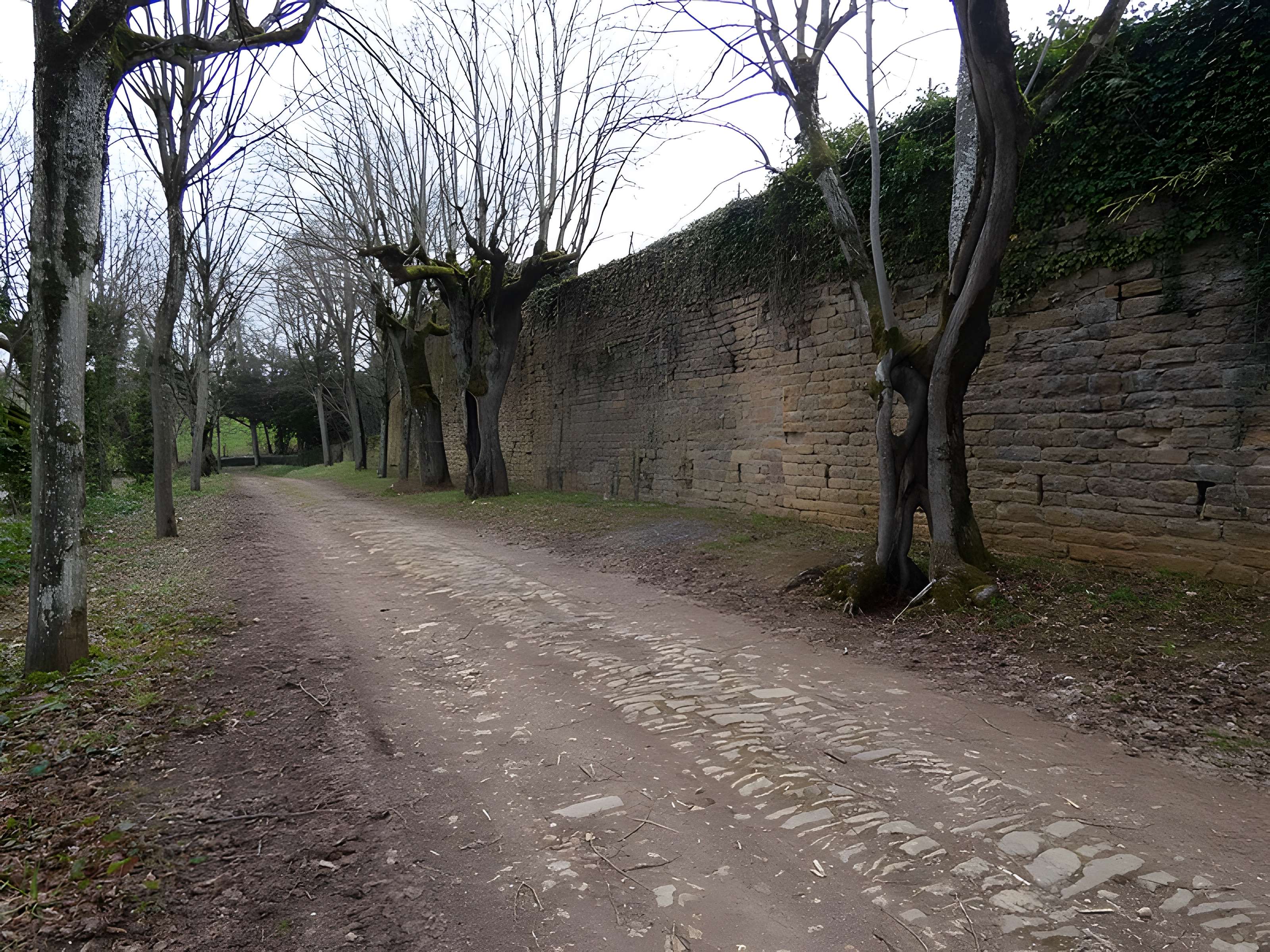 Château de Jarnioux 