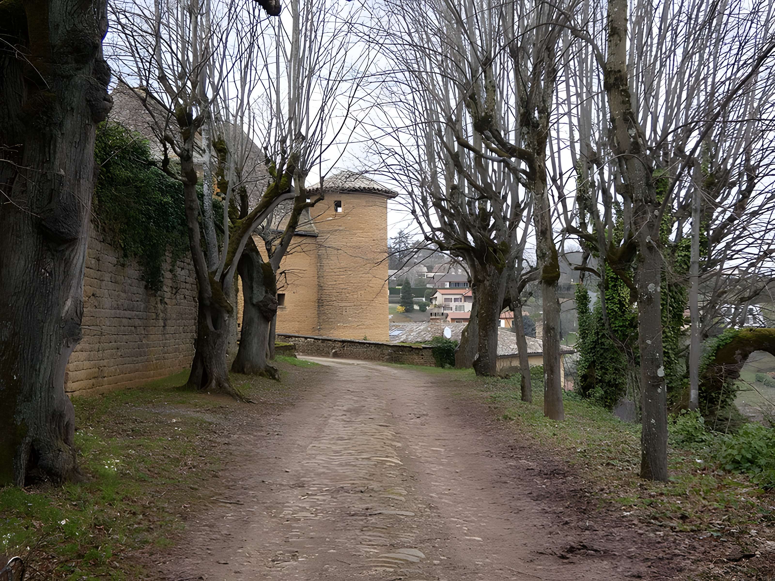 Château de Jarnioux 