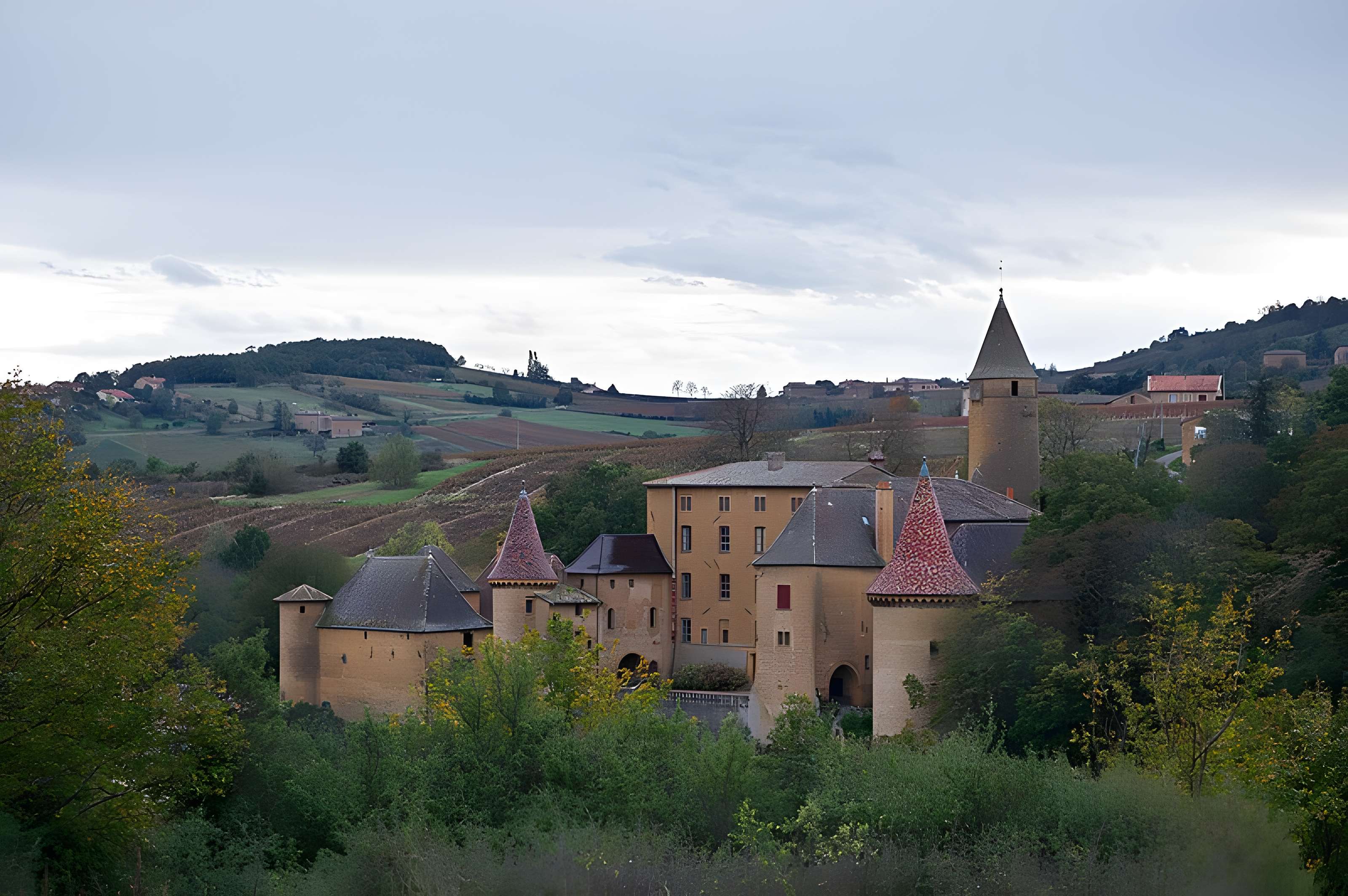 Château de Jarnioux 