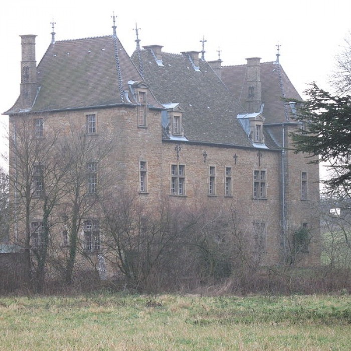 Photo de Château de Beaulieu à Varennes-lès-Mâcon