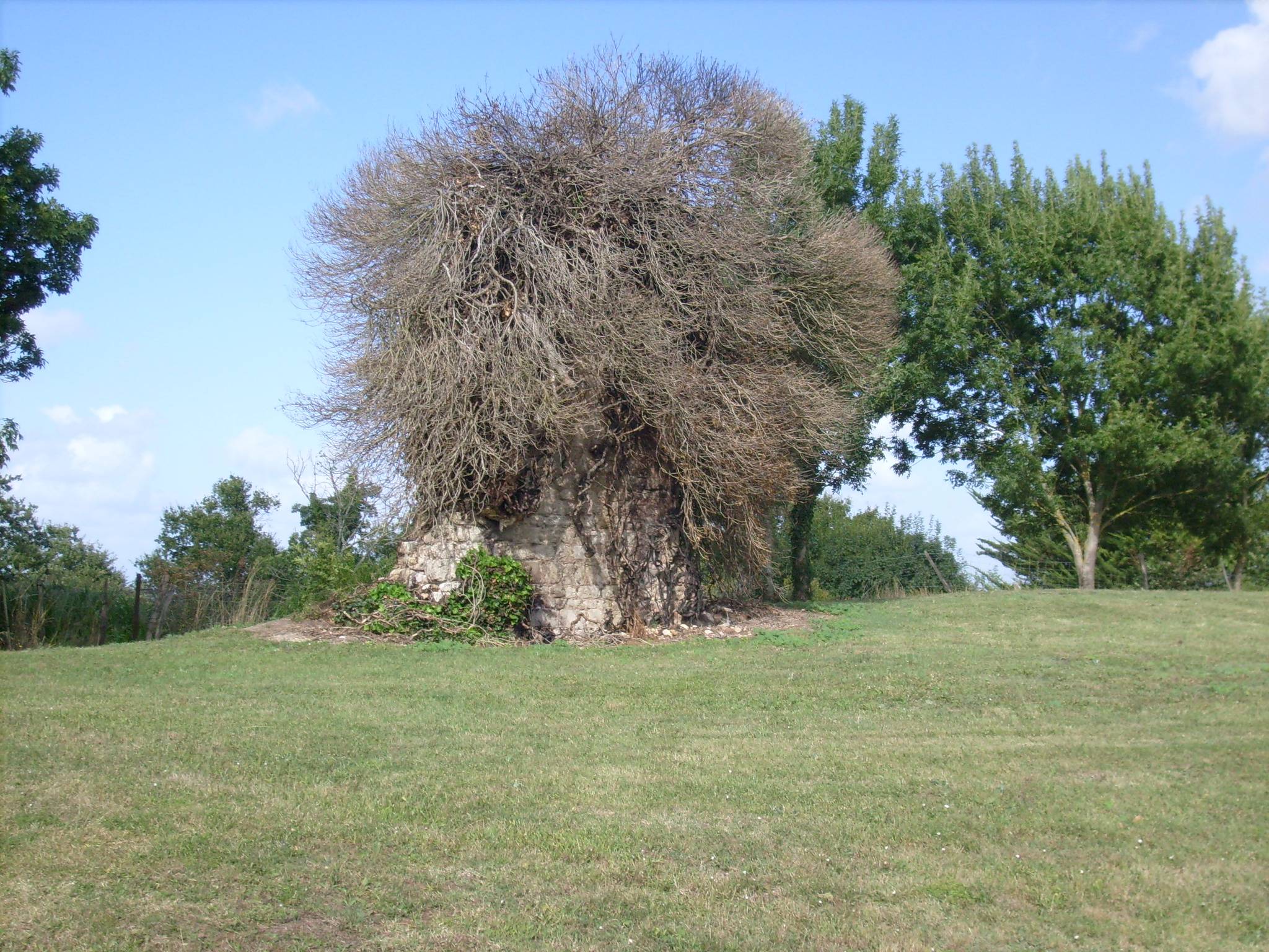 Photo de Saint Pierre and Saint Eutrope de Broue Church