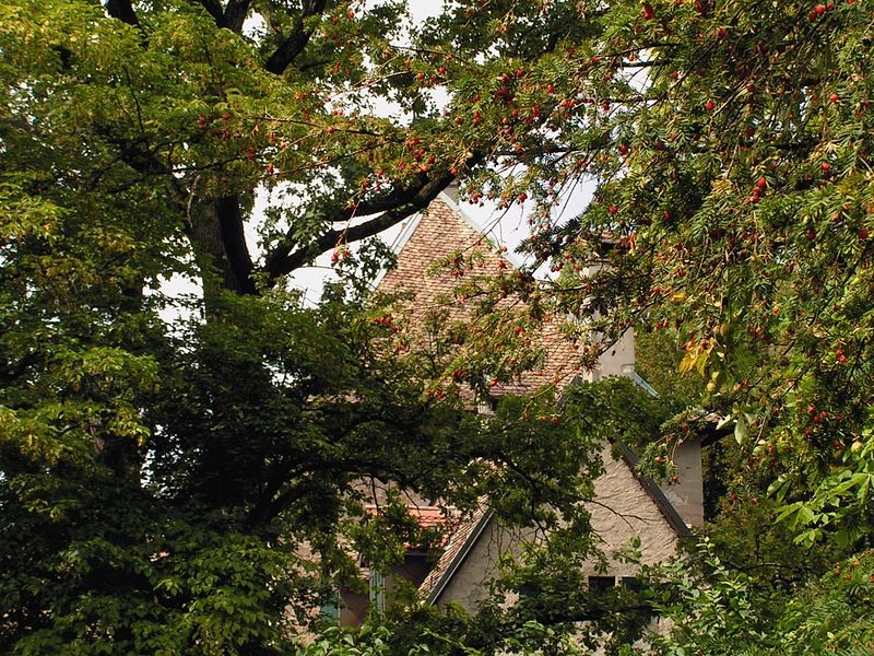Photo de Château de Bellerive