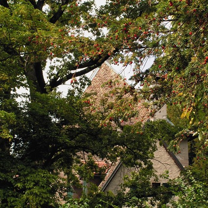 Photo de Château de Bellerive