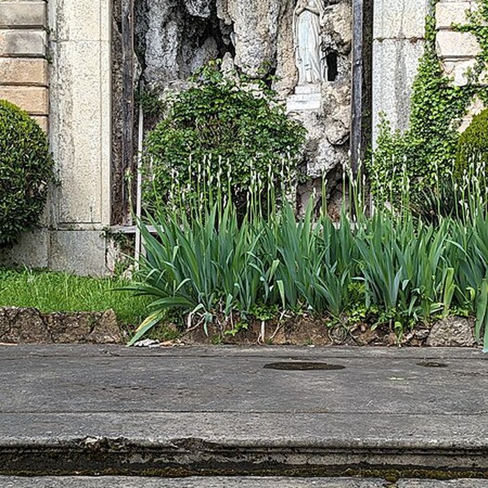 Photo de Château de Bellerive