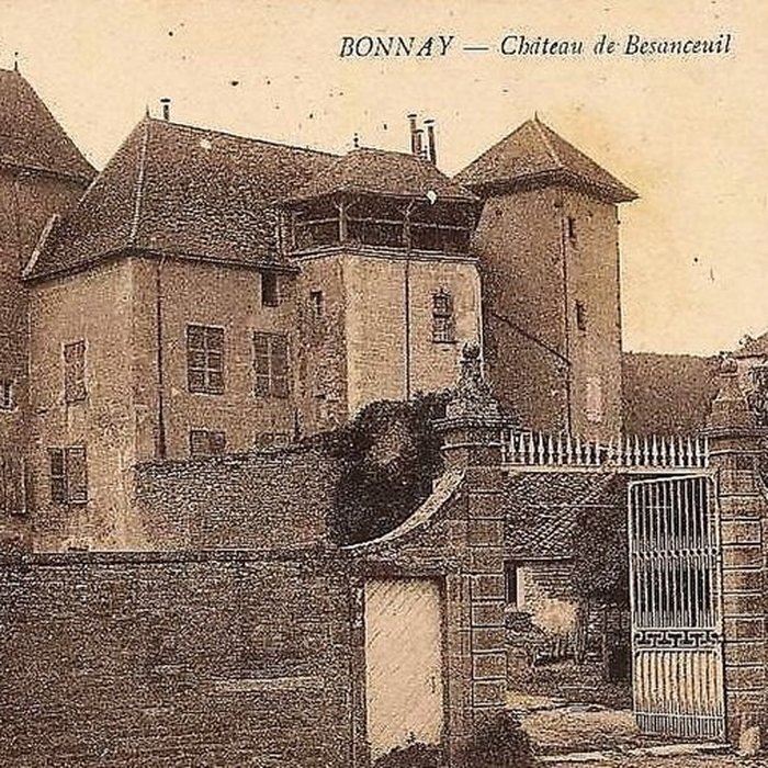 Photo de Château de Besanceuil