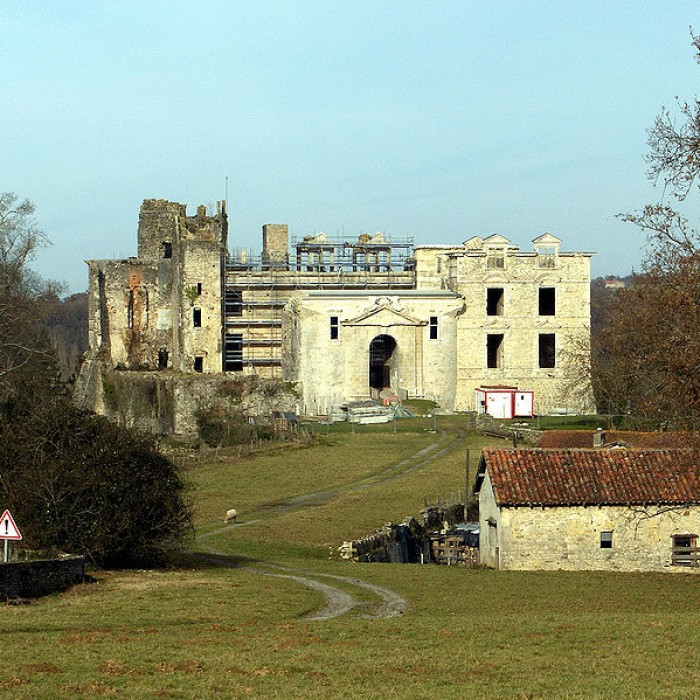 Photo de Château de Bidache