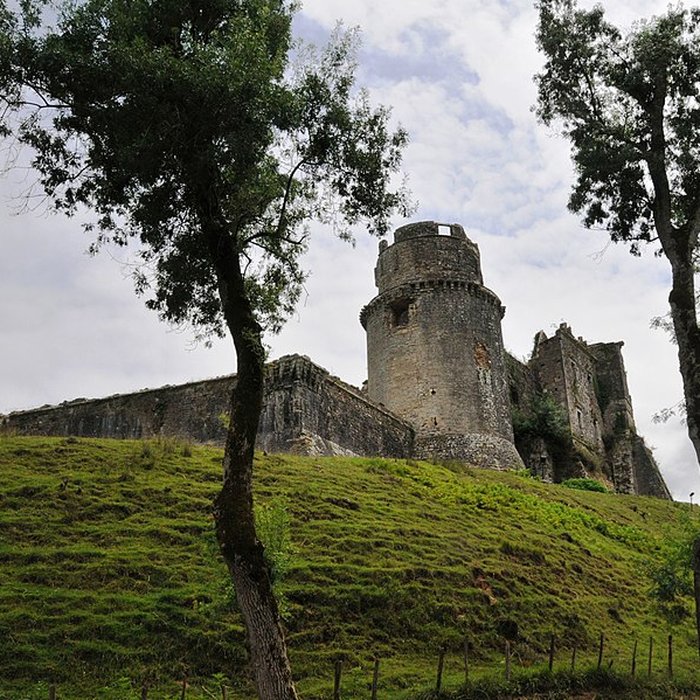 Photo de Château de Bidache