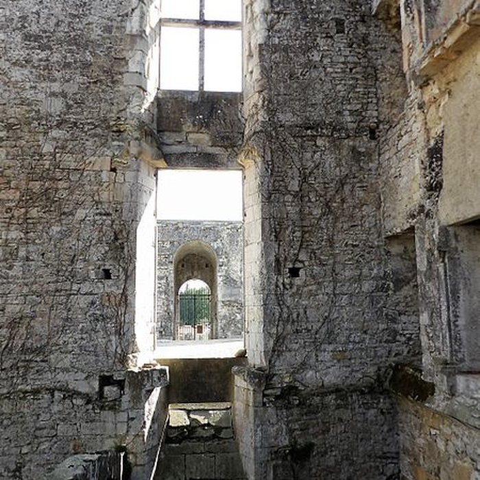 Photo de Château de Bidache