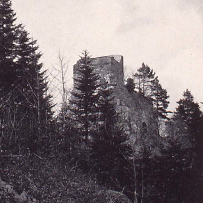 Photo de Château de Bilstein