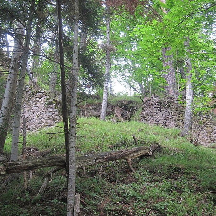 Photo de Château de Bilstein