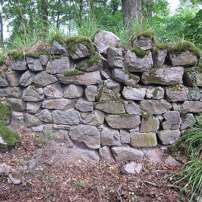 Photo de Château de Bilstein