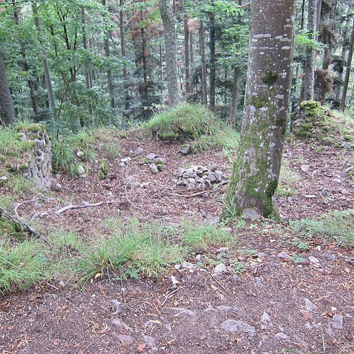 Photo de Château de Bilstein