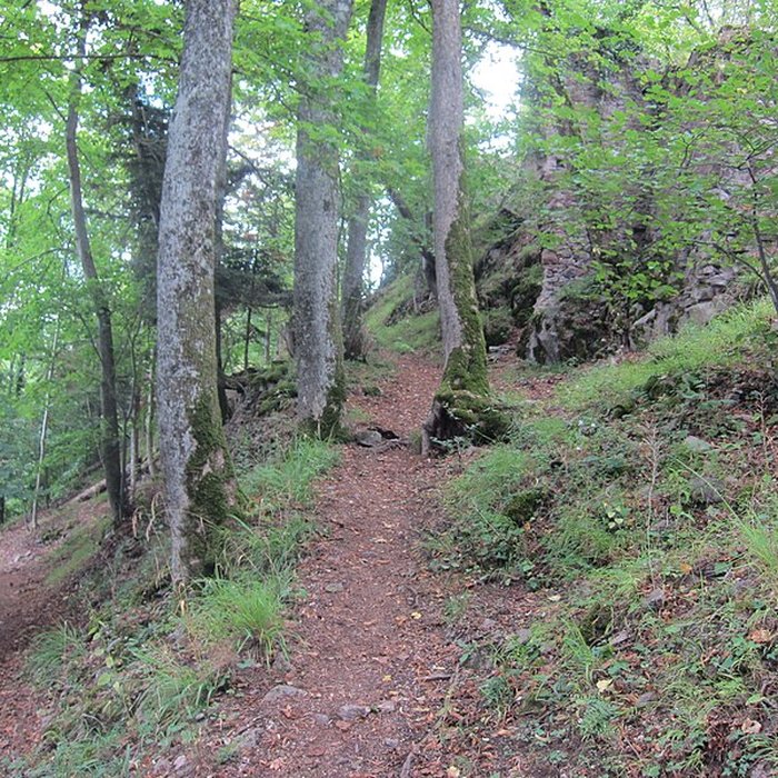 Photo de Château de Bilstein