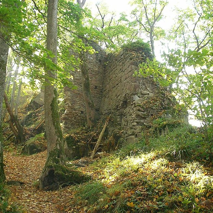 Photo de Château de Bilstein