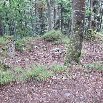 Château de Bilstein